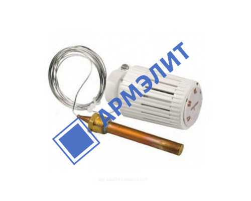 Элемент термостатический R462L2 жид/нап клипс clip-clap 20-70oC с погружным темп/датчиком с гильзой L=2 м Giacomini R462LX021